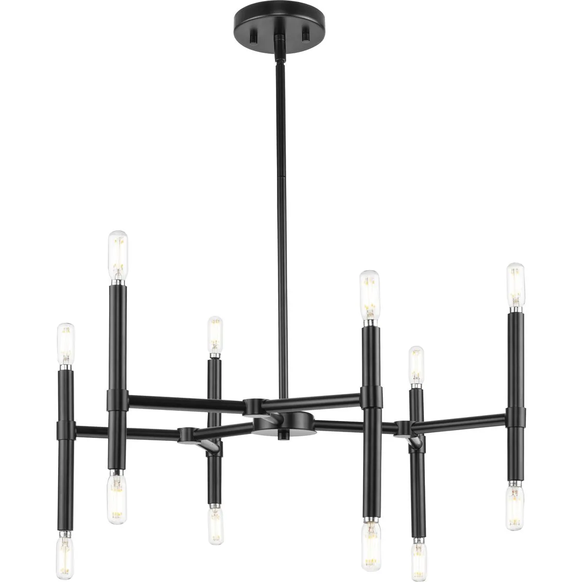 Arya Collection Twelve-Light Chandelier