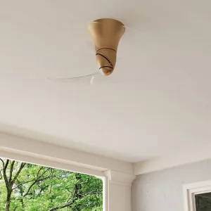 Beal Collection 33.19-in. Two-Blade Ceiling Fan with Clear Blades