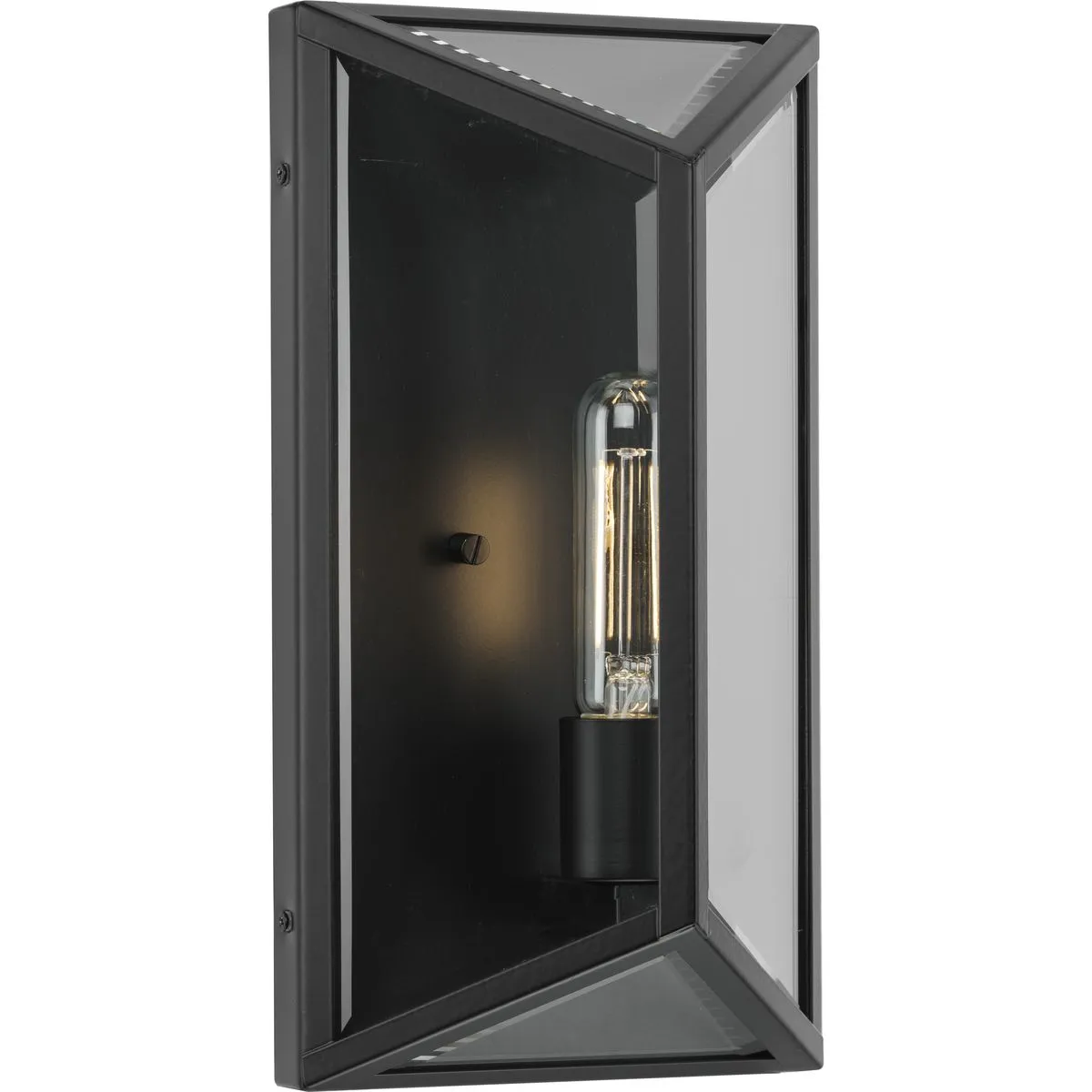 Bristol Collection One-Light Medium Outdoor Wall Lantern
